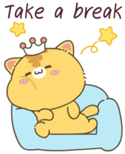 510891796