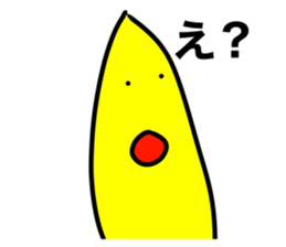 510894240
