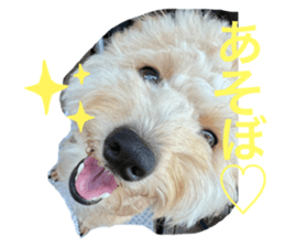 510898480