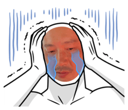 510913154