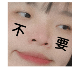 510930608