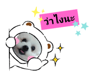 510931557