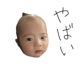 510951638