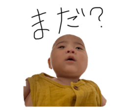 510951648