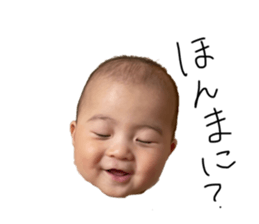 510951654