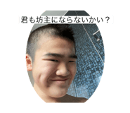 510957876