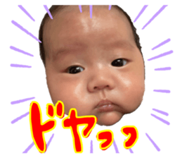 510970659