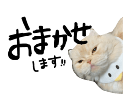 510982273