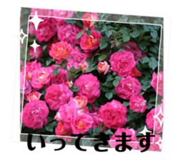 510996088
