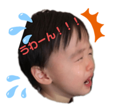 511026493