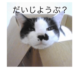 511027007