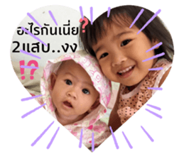 511054900