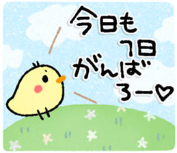 511067725