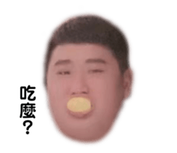 511081363