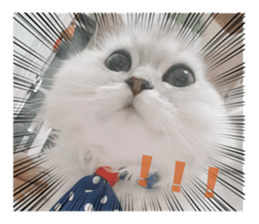 511082104