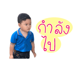 51109547