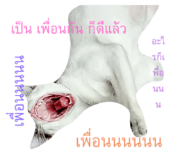 511125711