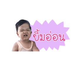 51113246