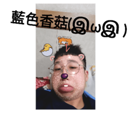511138015