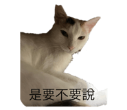 511151477
