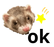 511211070