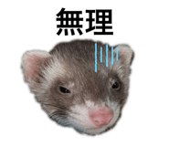 511211073