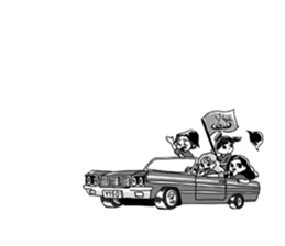 511237444