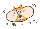 511261153
