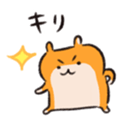 511261155