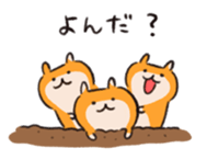 511261156