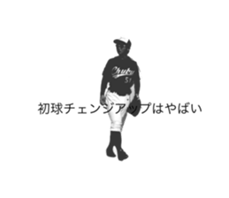 511317065
