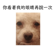 511352401