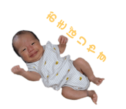 511357320