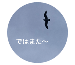 511363647