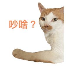 511365430
