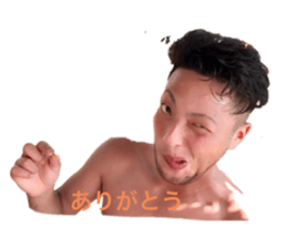 511366254