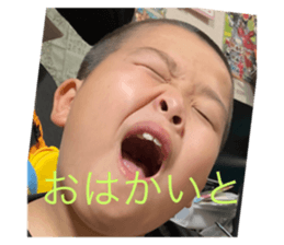 511369446