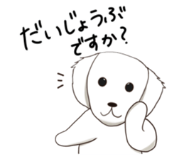 511376922
