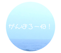 511378587