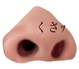 511382789