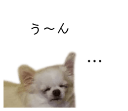 511391028