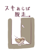 511415380