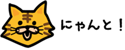 511435519