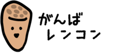 511435538