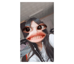 511460654