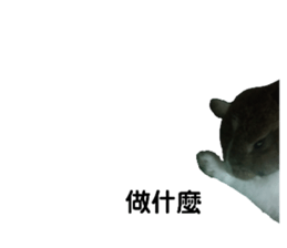 511460936