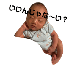 511469603