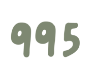 511598890