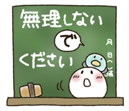 51160344
