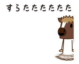 51165631